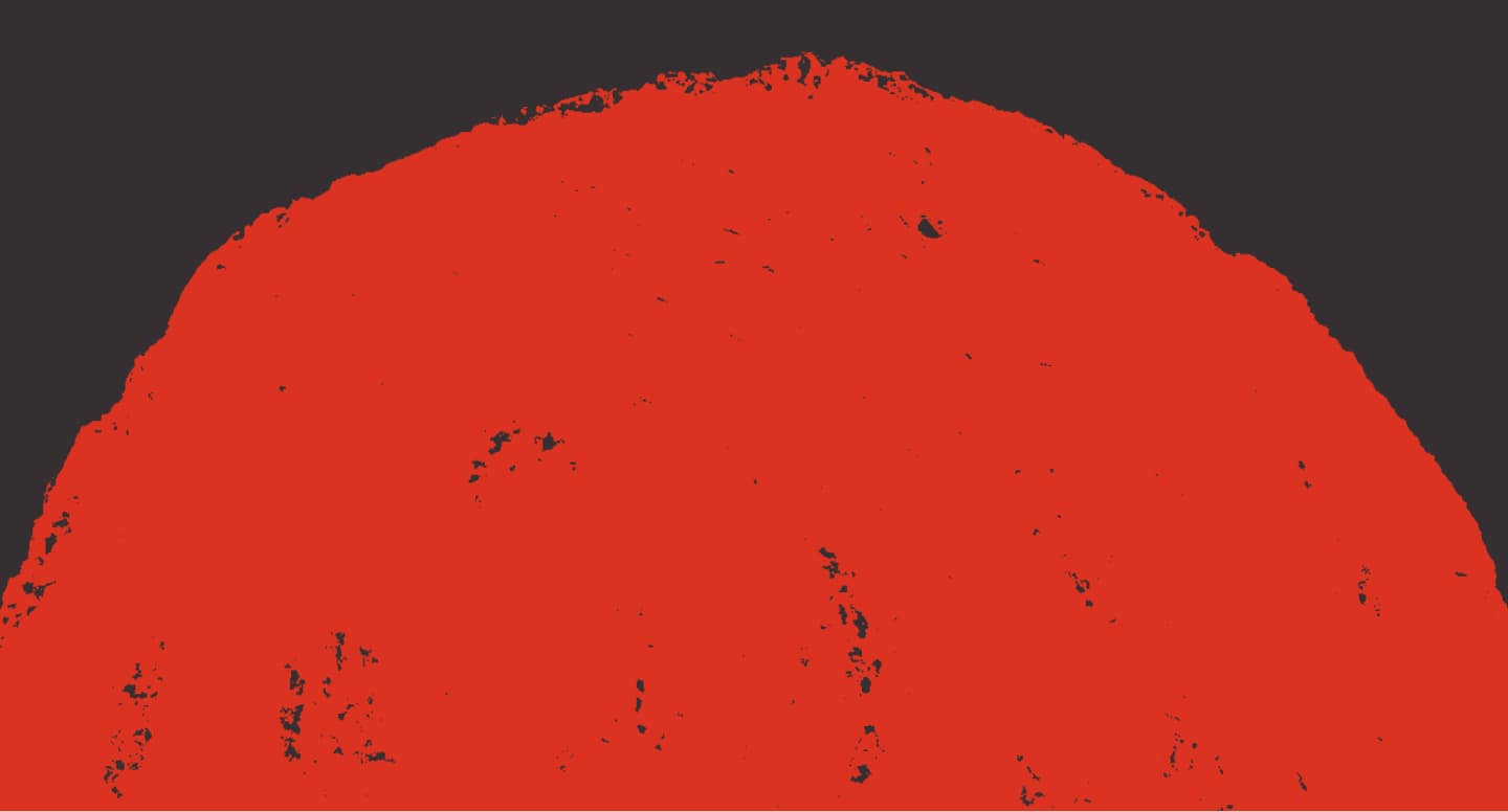 Wild Horizon Festival Logo Green