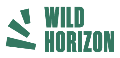 Wild Horizon Festival